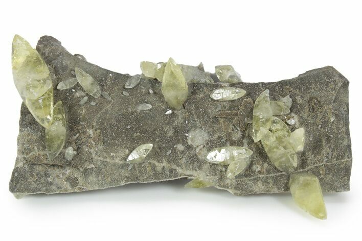 Double-Terminated Yellow Calcite Crystals on Matrix - Missouri #354686